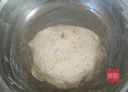 毛毛虫豆沙包（手揉版）的做法图解4