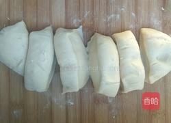 毛毛虫豆沙包（手揉版）的做法图解16