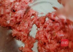 猪肉茴香水饺的做法图解4