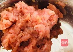 猪肉脯的做法图解3