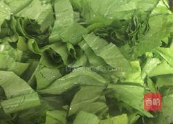 老干妈炒芥菜的做法图解4