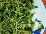 炒豌豆苗