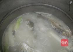 鲫鱼汤的做法图解5