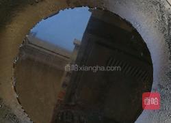 冬日热汤味增汤的做法图解1