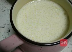 果味奶昔的做法图解7