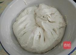 馅饼的做法图解1