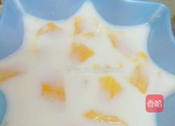 木瓜牛奶的做法图解4