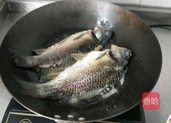 鲜辣鲫鱼汤的做法图解2