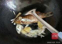 鲫鱼炖豆腐汤的做法图解5