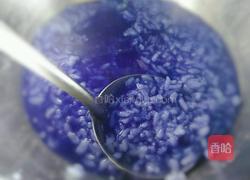 蓝蝴蝶米粥的做法图解5