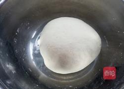 香菇胡萝卜猪肉包子的做法图解4