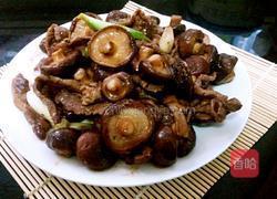 香菇炒肉的做法图解4