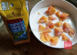 木瓜炖牛奶的做法图解4