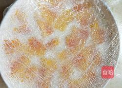木瓜炖牛奶的做法图解7