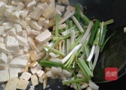 麻辣豆腐的做法图解5
