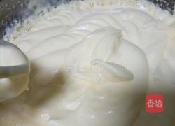 芒果味冰淇淋的做法图解5