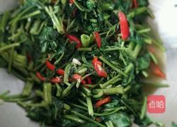 家常空心菜的做法图解5