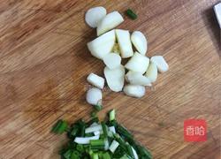 辣味 河粉的做法图解4