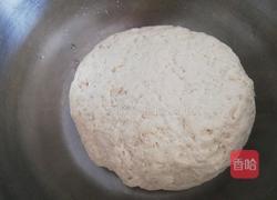 黄瓜馅素饺子的做法图解3
