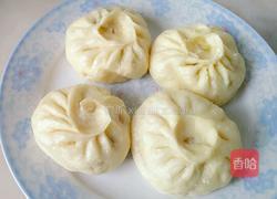 甘蓝青椒馅包的做法图解10