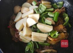 土豆烧鸡肉怎么做法 MjUwX2MyOjEvM15yYjI6MS84XzE4MA