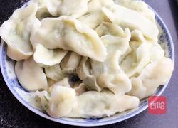 黄瓜馅水饺的做法图解15