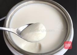 自制酸奶的做法图解10