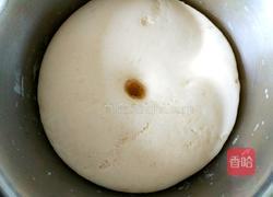 萝卜缨猪肉馅包子的做法图解18