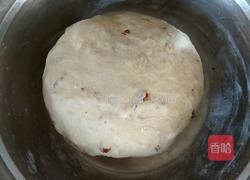 红糖大枣开花馒头的做法图解10