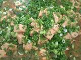 葱香卤肉老豆腐