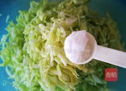 素颜春色（干煸卷心菜）的做法图解4