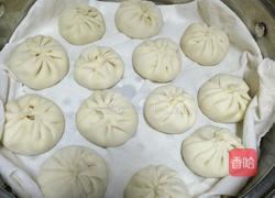 白菜胡萝卜鲜肉包的做法图解9