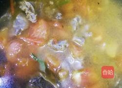 西红柿牛腩汤的做法图解7