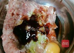 红烧狮子头的做法图解6