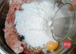 红烧狮子头的做法图解8