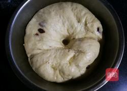 蔓越莓椰蓉软欧的做法图解5