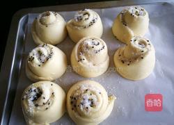 蜂蜜小软欧（波兰种）的做法图解13