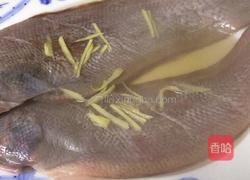 雪菜汁蒸舌鳎的做法图解8