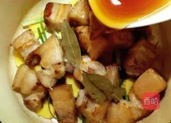 四川—快手红烧肉的做法图解8