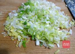  干萝卜叶猪肉馅饺子的做法图解2