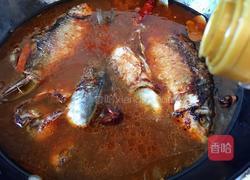 酱焖鲫鱼豆腐的做法图解11