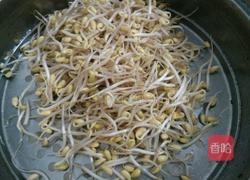 彩椒炒豆芽的做法图解1