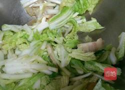 白菜猪肉炖大豆腐的做法图解5