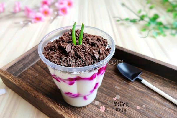 酸奶加火龙果怎么做 NjAwX2MyXzQwMA