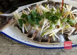  清蒸鱼的做法图解9