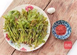 香椿辣酱的做法图解1