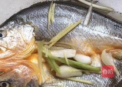 清蒸大黄鱼的做法图解8