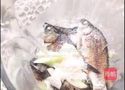野生鲫鱼豆腐汤的做法图解9