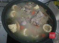 玉米胡箩卜炖筒子骨（电磁炉）的做法图解9