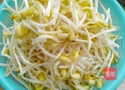香辣黄豆芽的做法图解3